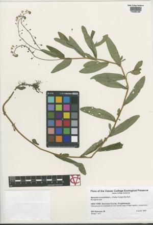 85410-Service File.jpg