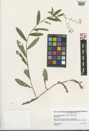 85411-Service File.jpg