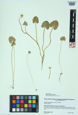 85414-Service File.jpg