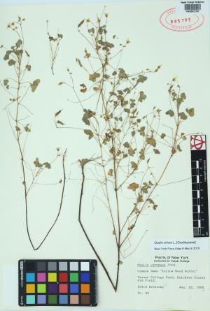 85415-Service File.jpg