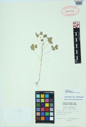 85416-Service File.jpg