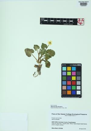 85426-Service File.jpg