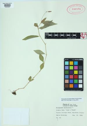85440-Service File.jpg