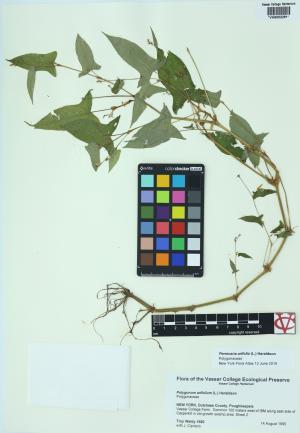 85442-Service File.jpg