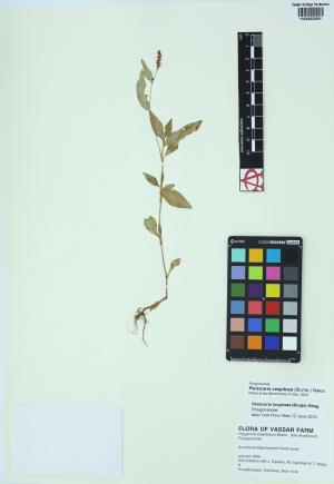 85446-Service File.jpg