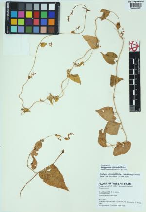 85448-Service File.jpg