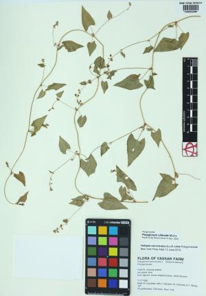 85450-Service File.jpg