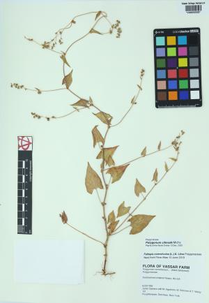 85454-Service File.jpg