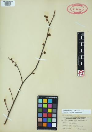 85460-Service File.jpg