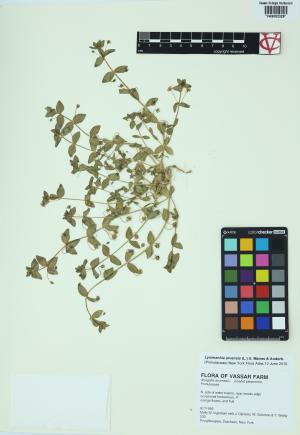 85461-Service File.jpg