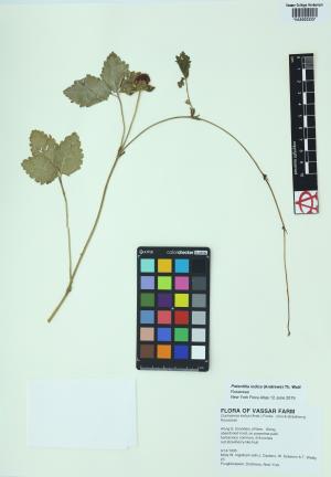 85465-Service File.jpg