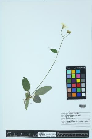 86908-Service File.jpg
