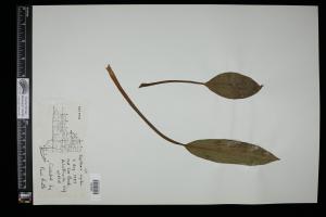 86914-Service File.jpg