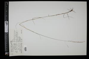 86933-Service File.jpg