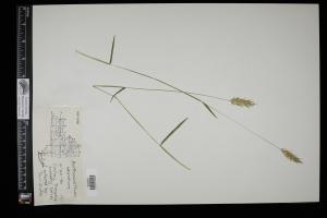 86945-Service File.jpg