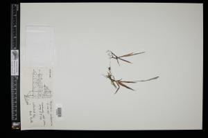 86965-Service File.jpg