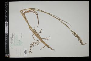 86969-Service File.jpg