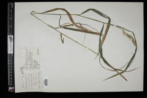 86978-Service File.jpg
