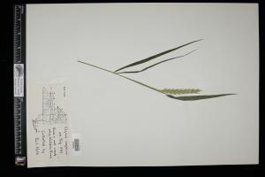 86979-Service File.jpg