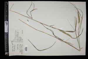 86982-Service File.jpg