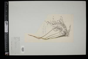 87002-Service File.jpg