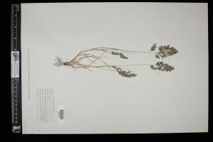 87003-Service File.jpg