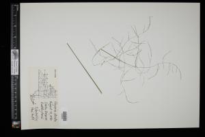 87022-Service File.jpg