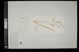 87026-Service File.jpg