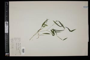 87034-Service File.jpg