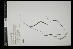 87036-Service File.jpg