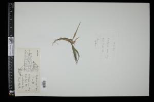 87046-Service File.jpg