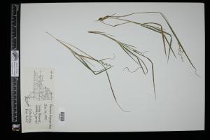 87049-Service File.jpg