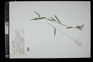 87060-Service File.jpg