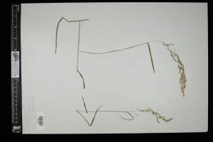 87072-Service File.jpg
