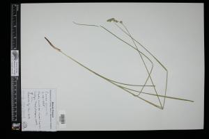87092-Service File.jpg