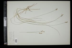 87093-Service File.jpg