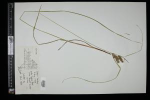 87095-Service File.jpg