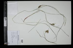 87096-Service File.jpg