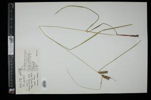 87097-Service File.jpg