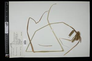87102-Service File.jpg