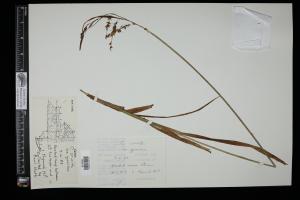 87104-Service File.jpg