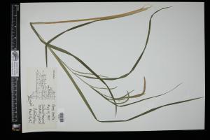 87105-Service File.jpg
