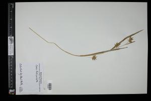 87110-Service File.jpg
