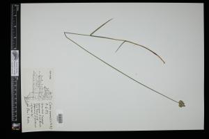 87121-Service File.jpg