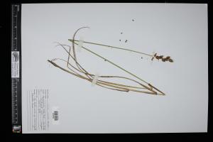 87122-Service File.jpg