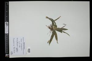 87124-Service File.jpg