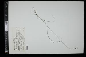 87125-Service File.jpg