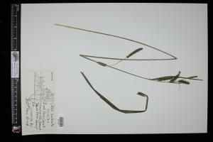 87131-Service File.jpg