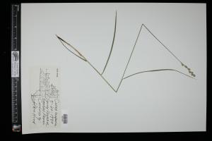 87132-Service File.jpg