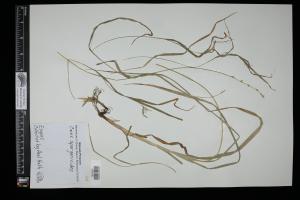 87133-Service File.jpg